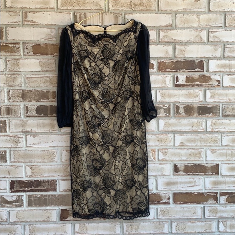 Tadashi Shoji Bishop Lace Dress Sz 10 - Picture 3 of 9